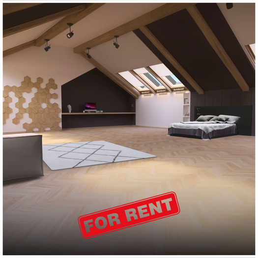 CloudLofts Co. - Starter Loft skybox - FOR RENT