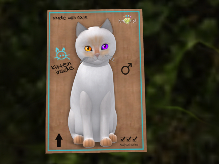 KittyCatS Box - M/SiFlam/smFireRain/Mys e(plush whsk)