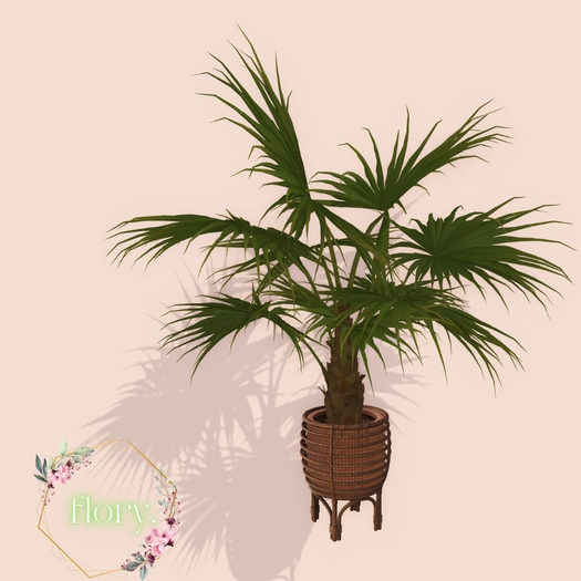 flory. - Rattan Potted Palm