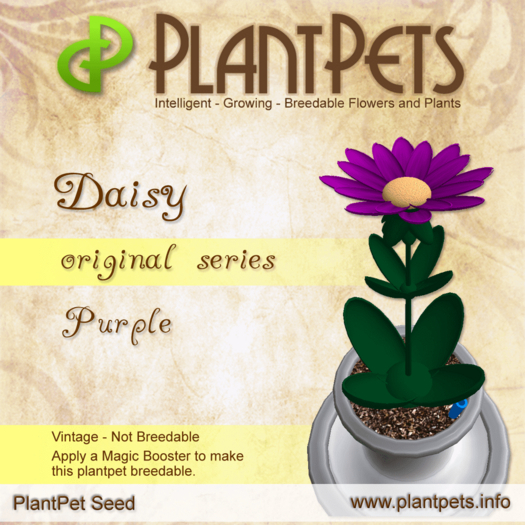 PlantPet Seed [Daisy *Original Purple*]