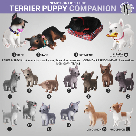 SEmotion Libellune Terrier Puppy Companion COMMON 12