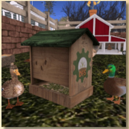 DFS Duck Feed (300)