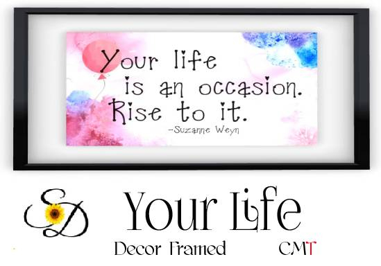 **SD ~ Your Life Framed