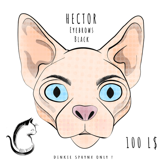 Axel Design - BOM Eyebrows Hector Black (SPHYNX ONLY) BOX