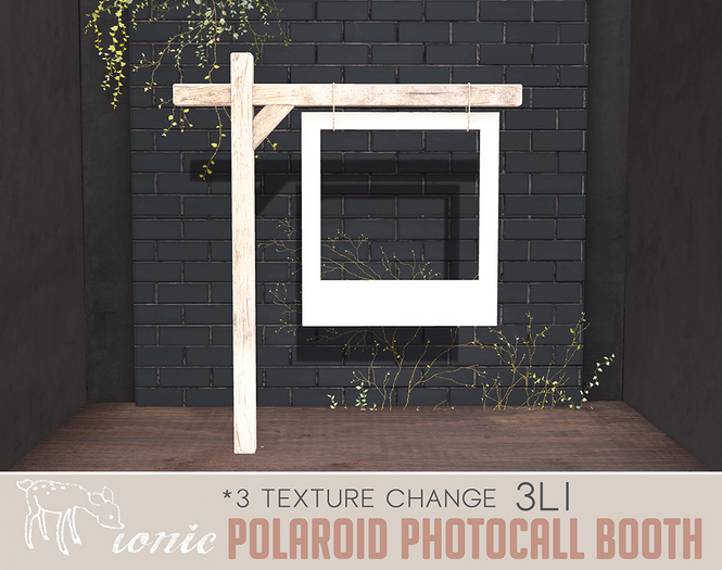 ionic : Polaroid Photocall booth