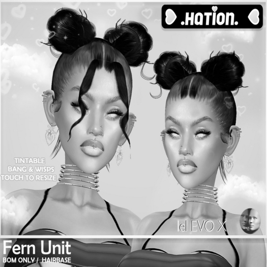 .Hation. Fern Unit Demo combined