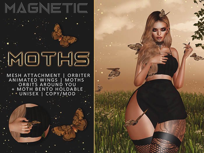 Magnetic - Moths