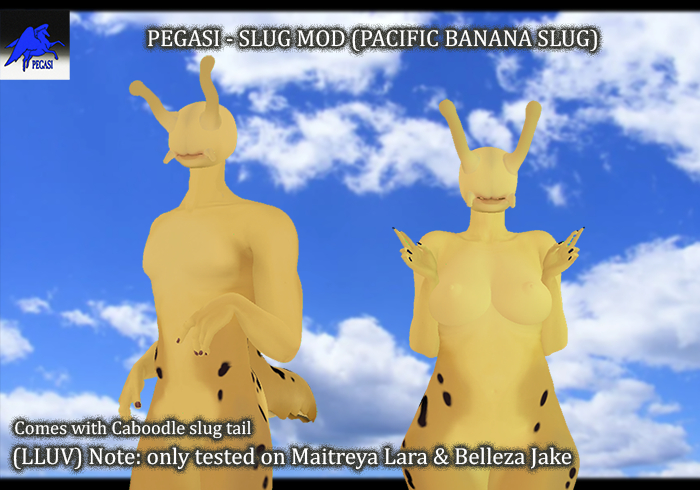 PEGASI - PACIFIC BANANA SLUG