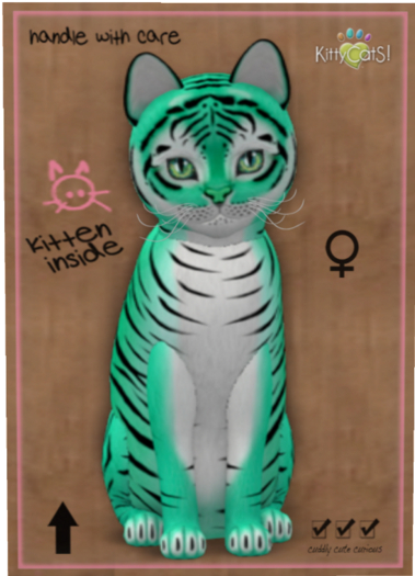 KittyCatS Box - Tiger! - Seafoam