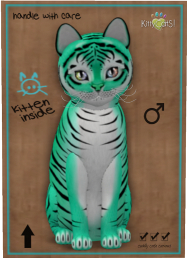 KittyCatS Box - Tiger! - Seafoam
