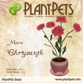 [PlantPet Seed] Chrysanth *Mars*