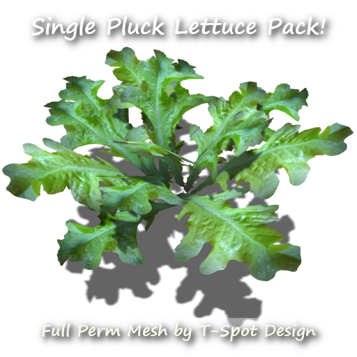 T-Spot Mesh - Single Pluck Lettuce Set - FP - LI=0.5