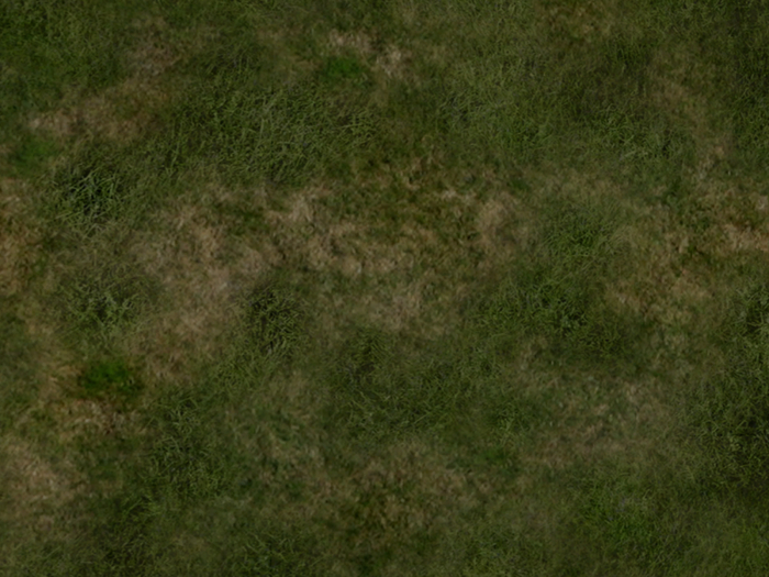 Grass Textur 10