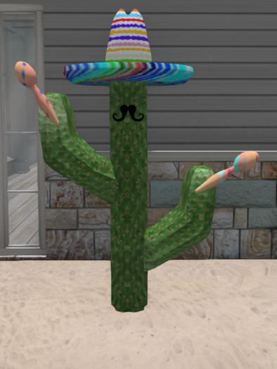 G * Cactus with Marracas