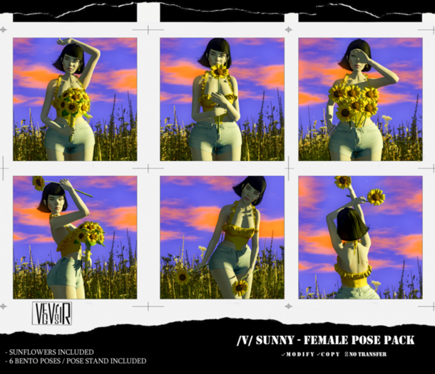 /V/ Sunny - Female Pose Pack