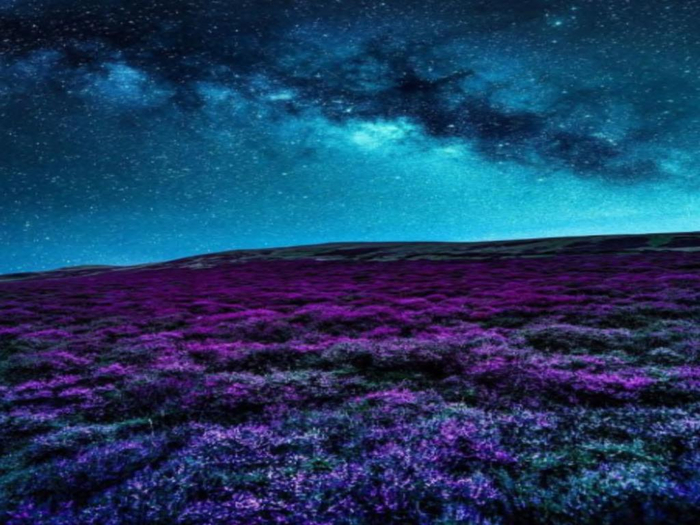 Magical Horizon Texture