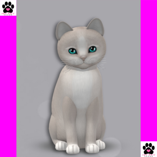 KittyCatS Box 150 - Female - 1T - Genesis - Pearl II