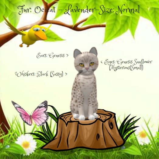 KittyCatS Box - Fur: Ocicat - Size: Normal Girl
