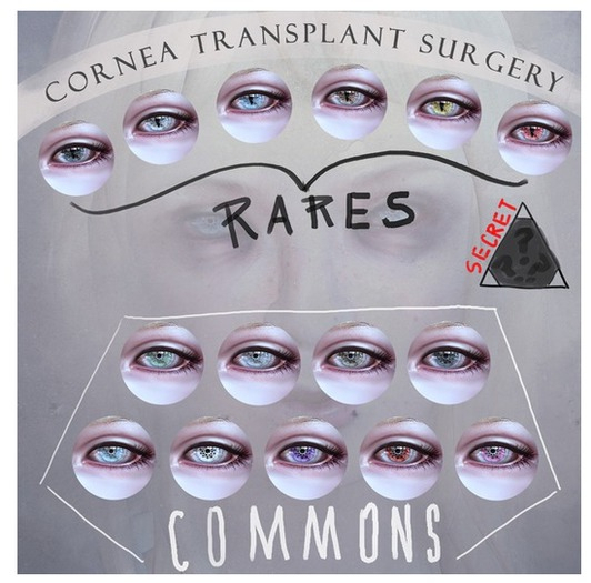 Clemmm - Cornea Transplant Brown