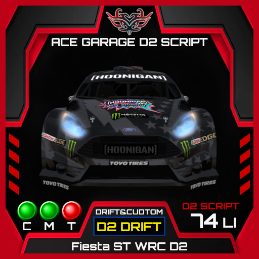 [AG.D2] Fiesta ST WRC D2