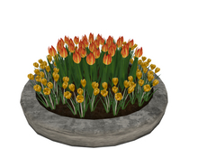 DTC- Crocuses and Tulips - 11LI
