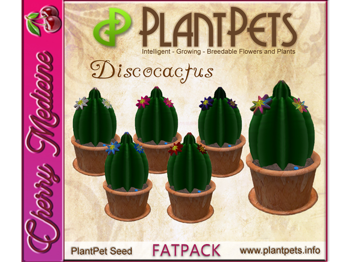 Cherry Medicine - Discocactus Fatpack