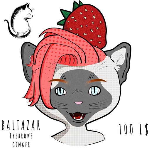 Axel Design - BOM Eyebrows Baltazar Ginger BOX