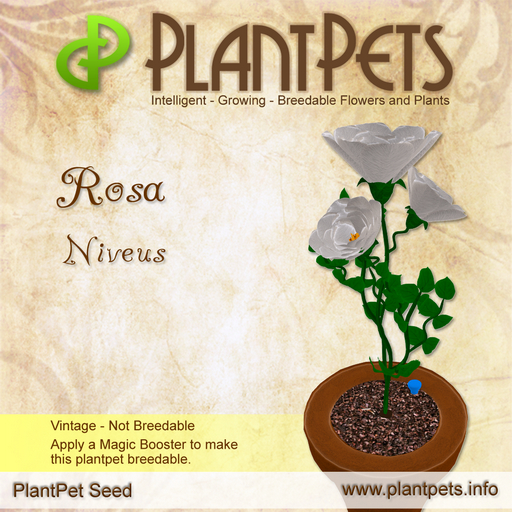 PlantPet Seed [Rosa *Niveus*] Vintage