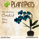 PlantPet Seed [Dendrobium Orchid *Deep Blue*]