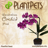 PlantPet Seed [Dendrobium Orchid *Pink*]