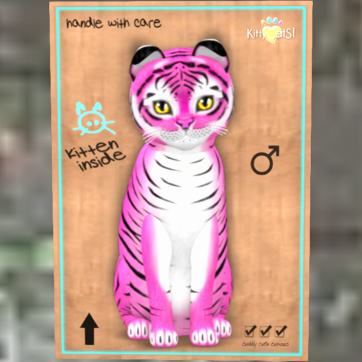 KittyCatS Box 99