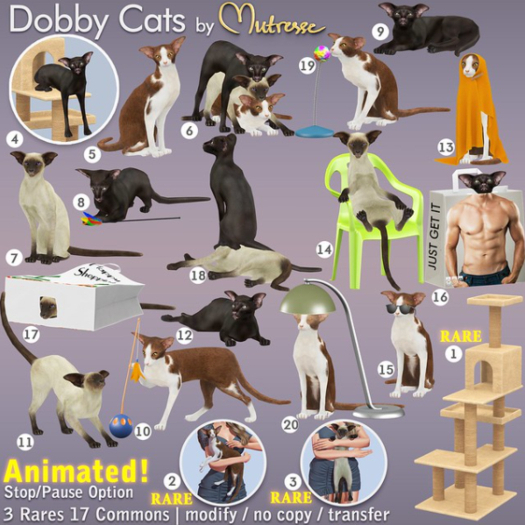01-Mutresse-Dobby Cats-RARE
