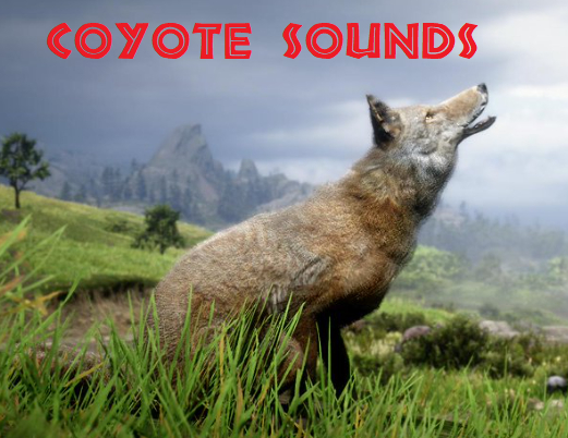 GC - 192 Coyote sounds