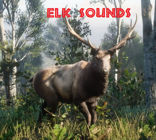 GC - 138 Elk sounds