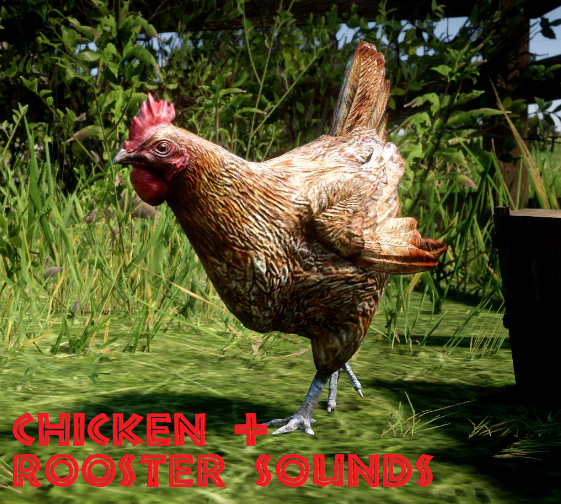 GC - 130 Chicken + Rooster sounds