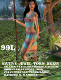 Native Jewel Torn Dress