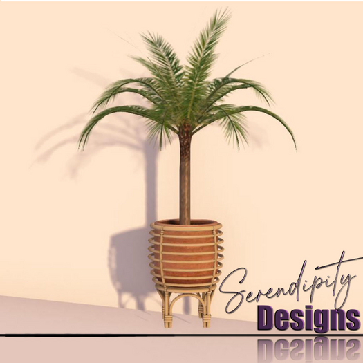 Serendipity Designs - Key Largo BR Dwarf Palm