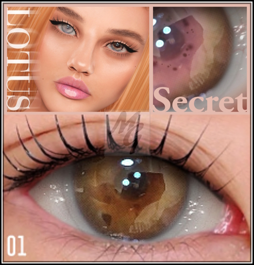1. LOTUS. Secret Eyes [boxed]