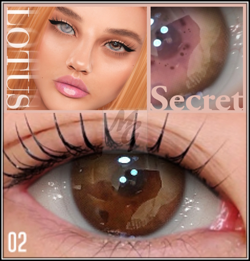 2. LOTUS. Secret Eyes [boxed]