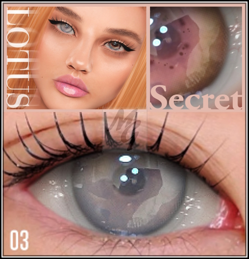3. LOTUS. Secret Eyes [boxed]