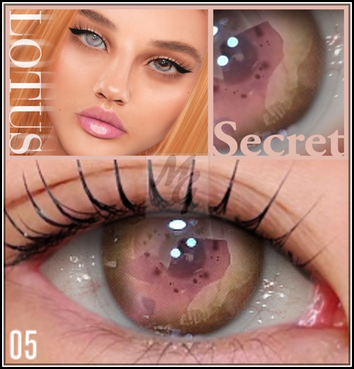 5. LOTUS. Secret Eyes [boxed]