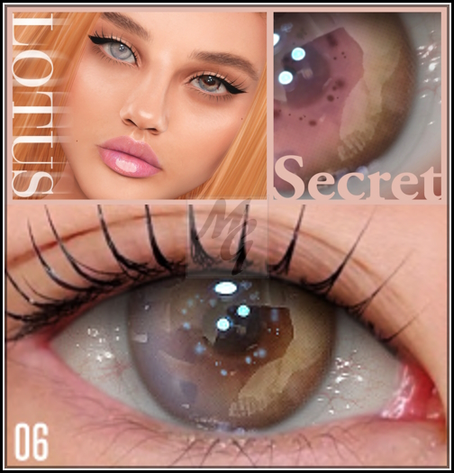 6. LOTUS. Secret Eyes [boxed]