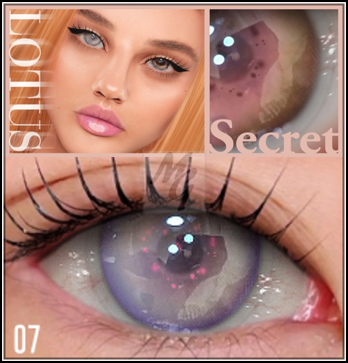 7. LOTUS. Secret Eyes [boxed]
