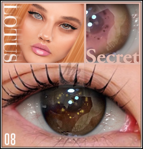 8. LOTUS. Secret Eyes [boxed]