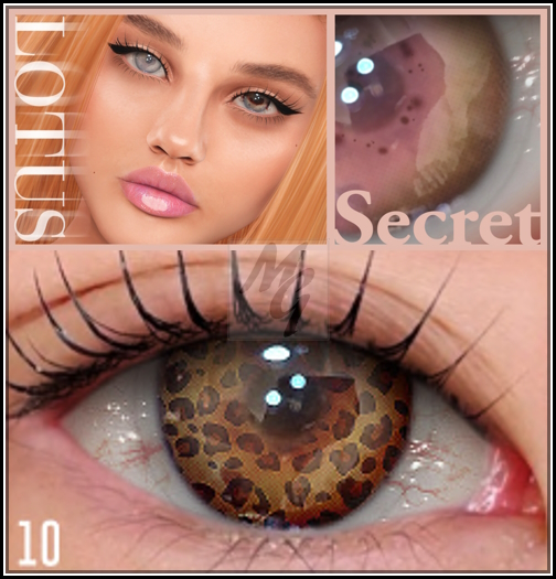 10. LOTUS. Secret Eyes [boxed]