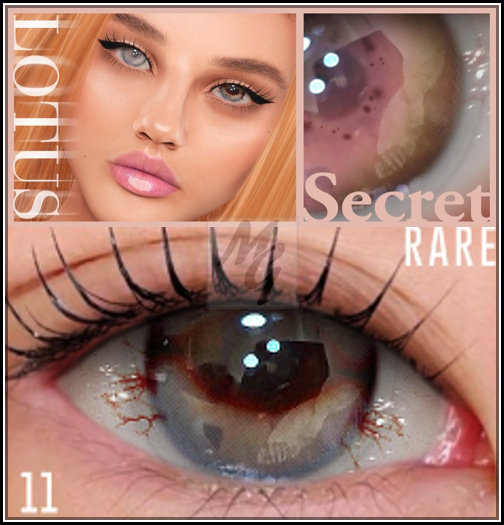 11. LOTUS. Secret Eyes [boxed] RARE