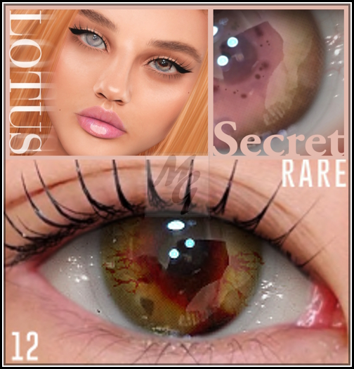 12. LOTUS. Secret Eyes [boxed] RARE