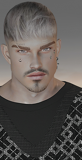 hair base white & eyebrows