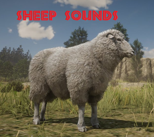 GC - 122 Sheep sounds