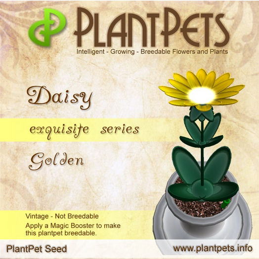 PlantPet Seed [Daisy *Golden*] RARE